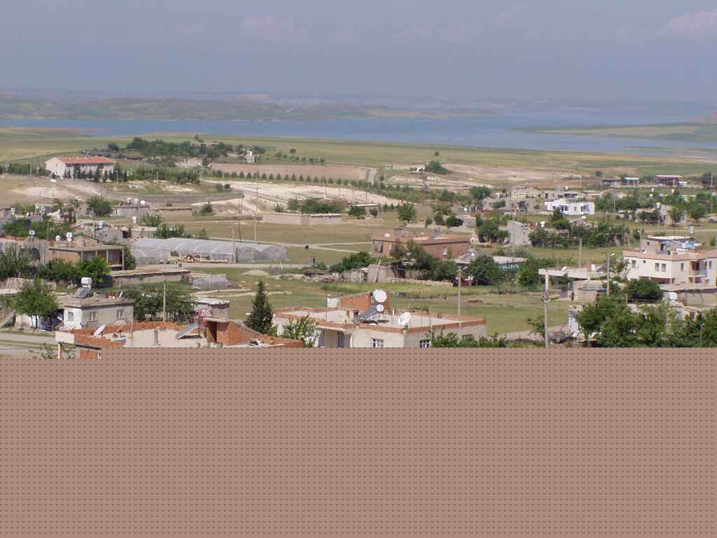 Bylt
